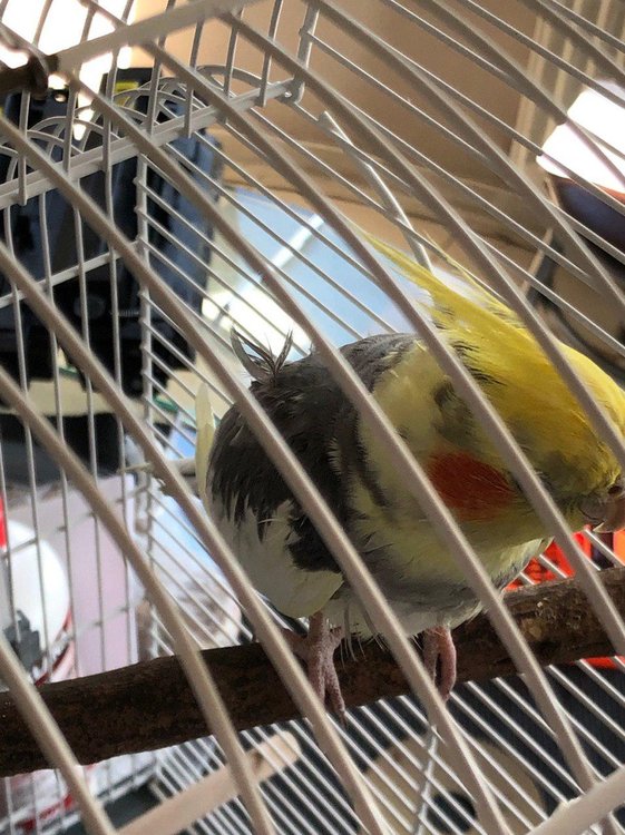 photo_2019-05-04_17-16-06.jpg