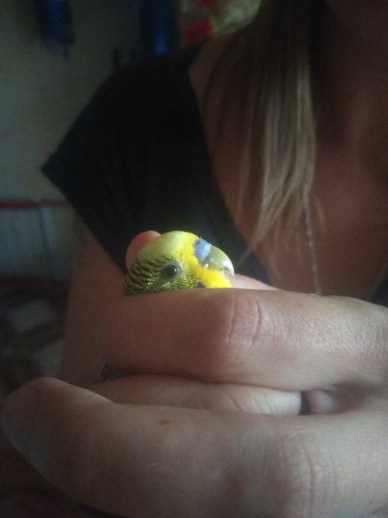 2019-06-06 20-24-56.JPG