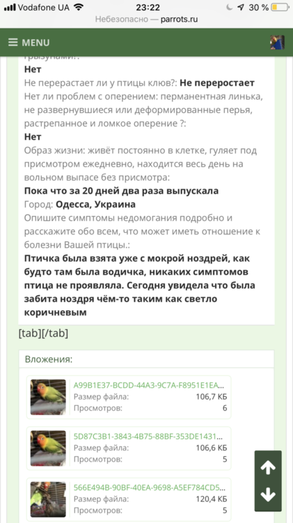 1DBD02F1-5149-465F-BB7F-11A3434AF6B9.png