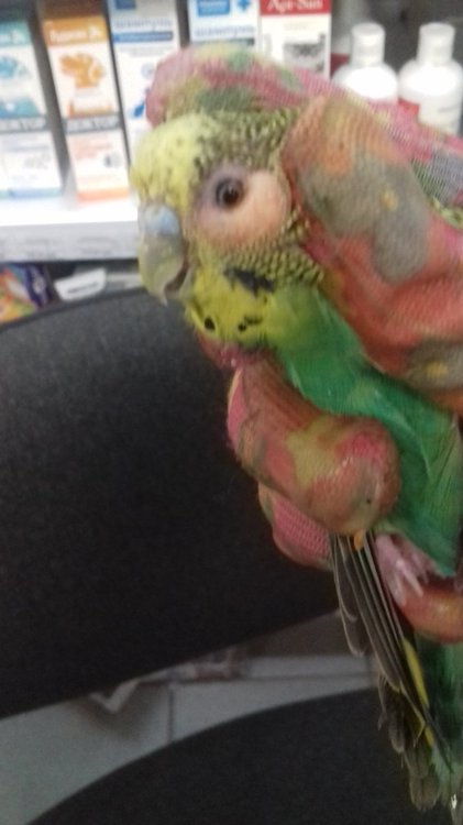 20190605_185956.jpg