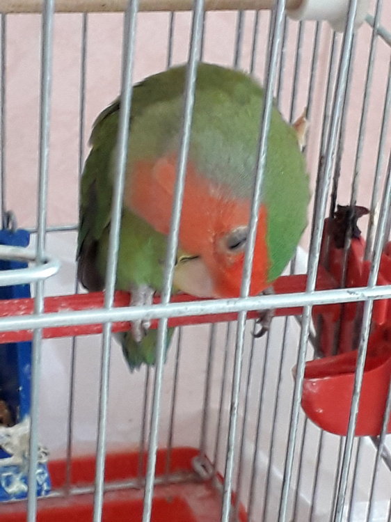 20190621_131703.jpg