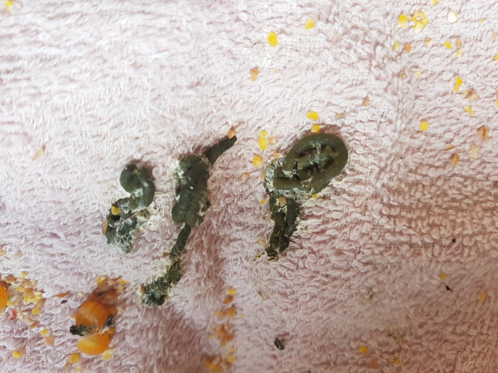20190623_132221.jpg