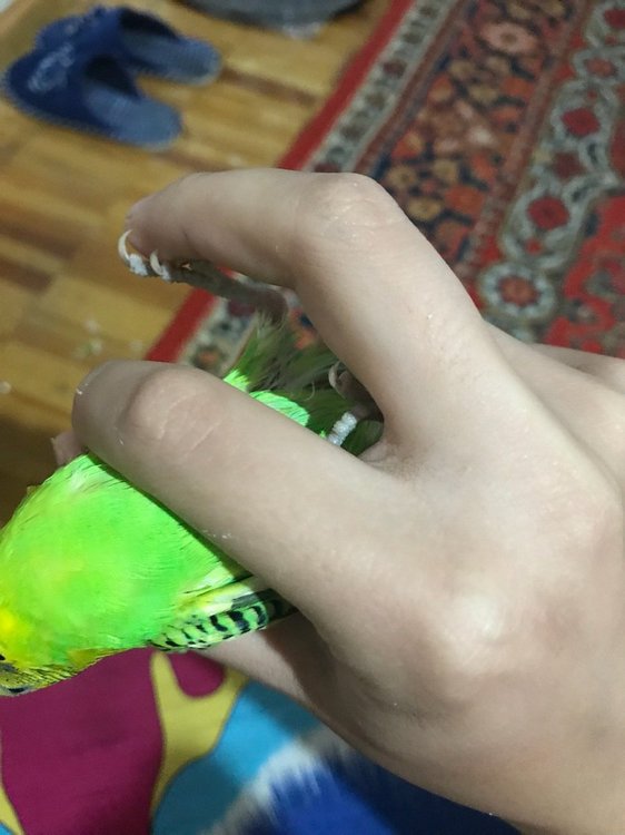 2852D06A-41B1-46DD-829E-CF7478C112DE.jpeg