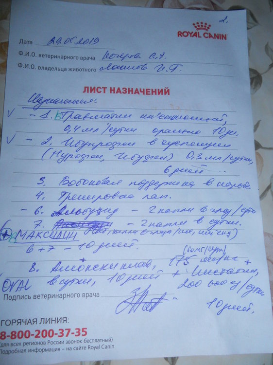 DSCN4282.JPG