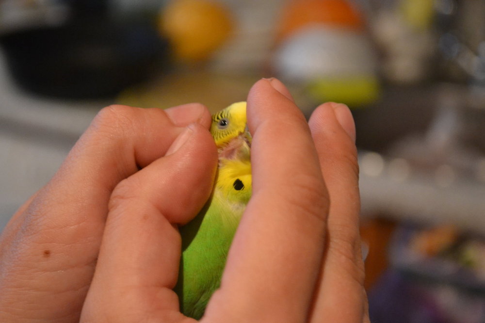 DSC_0591.JPG