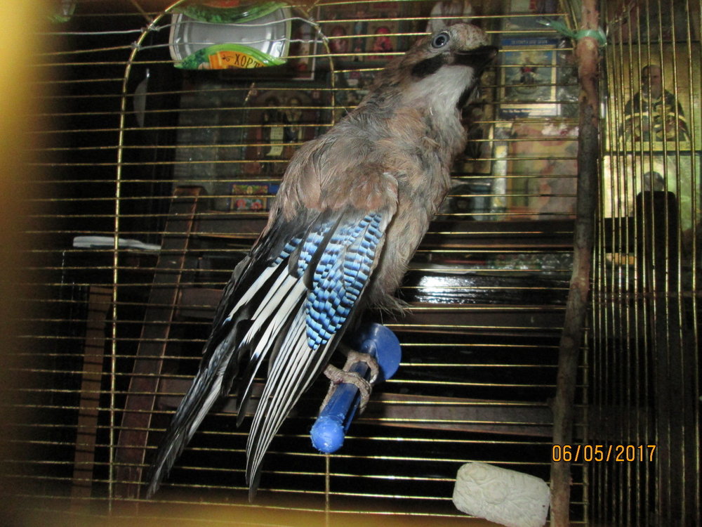 IMG_5351.JPG