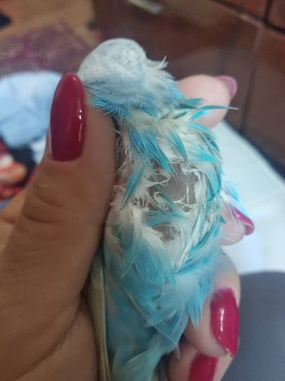 WhatsApp Image 2019-07-11 at 14.38.47.jpeg