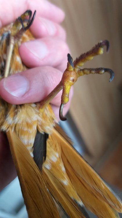 20190710_090911.jpg