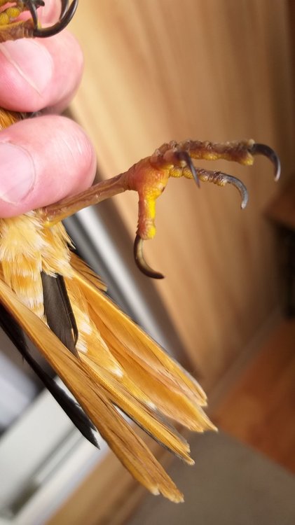 20190710_090914.jpg