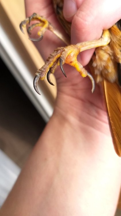 20190710_090937.jpg