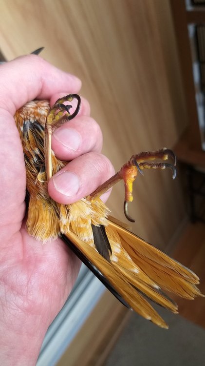 20190710_090954.jpg