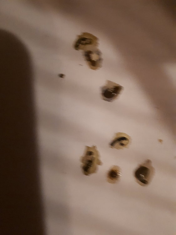 20190726_223348.jpg
