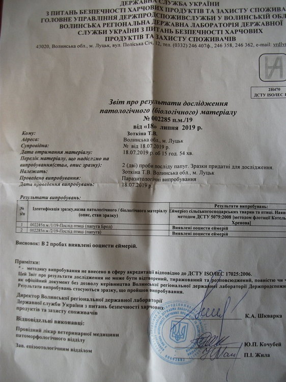 DSCF8008.JPG