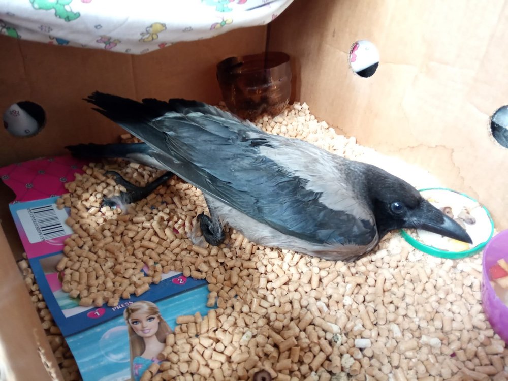 IMG-20190709-WA0003.jpg