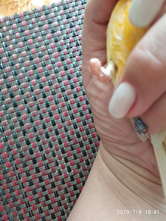 IMG_20190709_184136.jpg