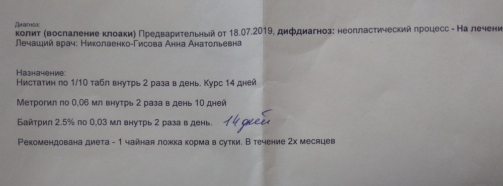 IMG_20190718_154048.jpg