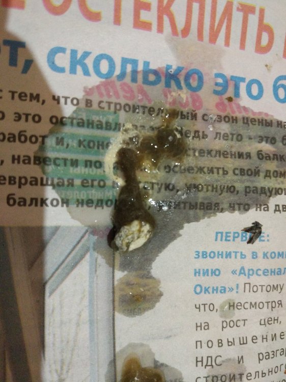 IMG_20190728_210553.jpg