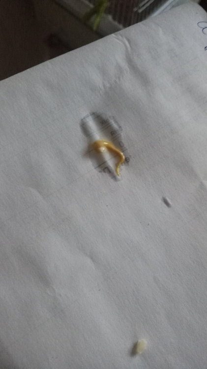 P90711-103155.jpg