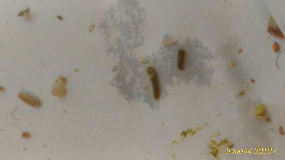 P_20190705_180942_1_p.jpg