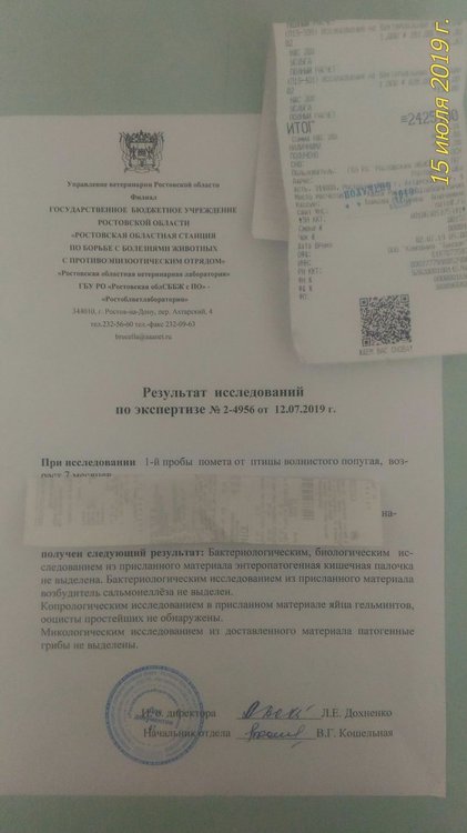 P_20190715_133748_p.jpg