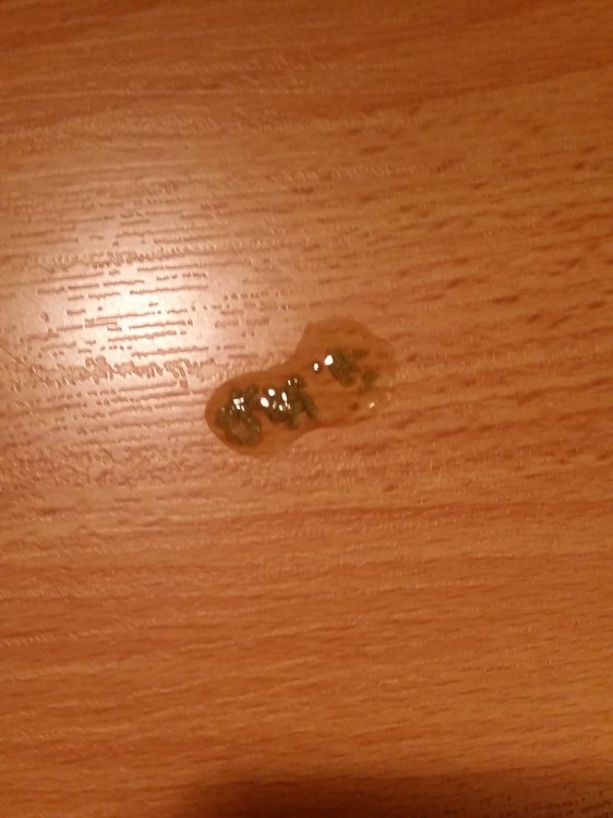 20190808_082810.thumb.jpg.e2e36db6eae8908e4fa221374c653cc2.jpg