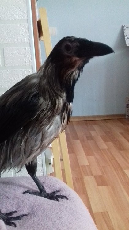20190818_124457.jpg