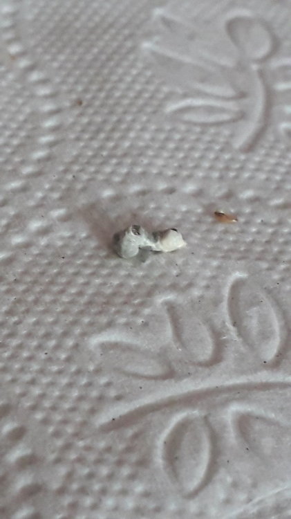20190820_104732.jpg