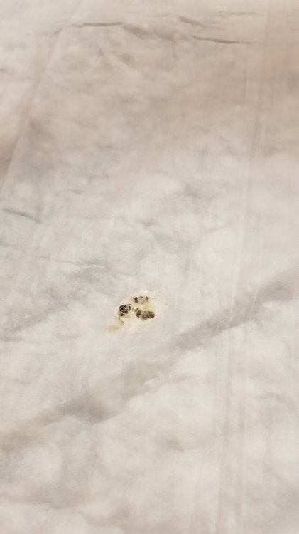 20190820_193127.jpg