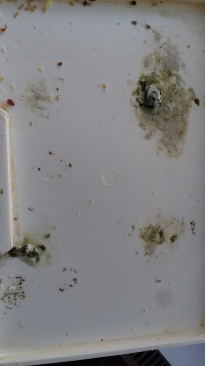 20190824_184054[1].jpg