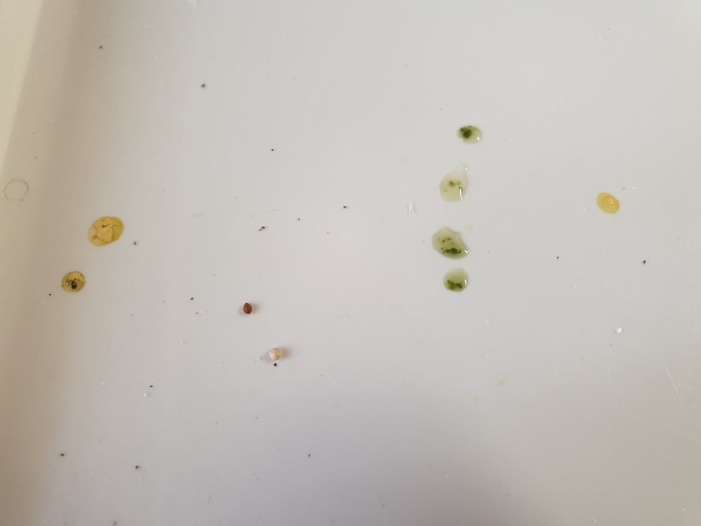 67791677_2136982463268570_6800169995465654272_n.jpg