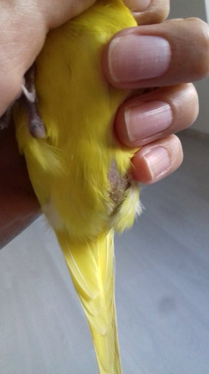 20190824_184030[1].jpg