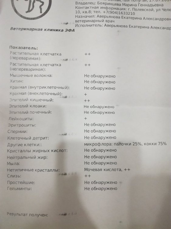 IMG_20190802_234016.jpg