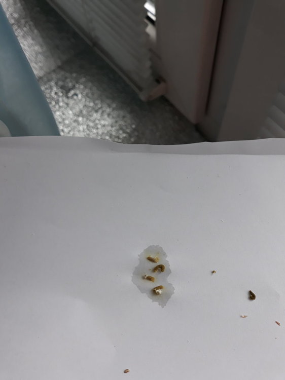 20190927_090257.jpg