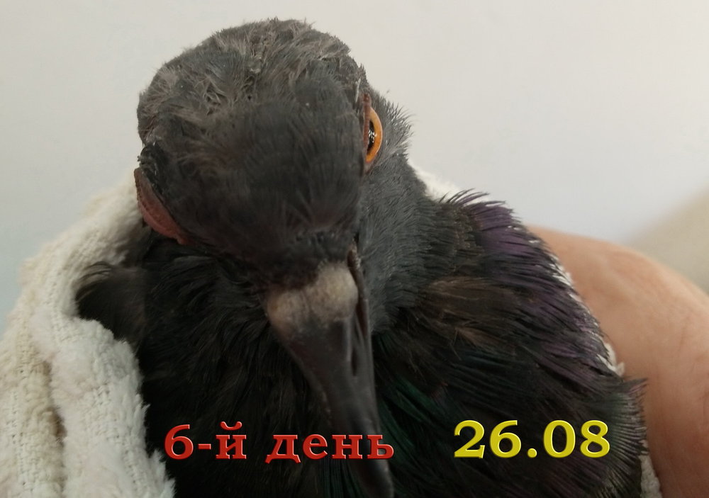 26.jpg