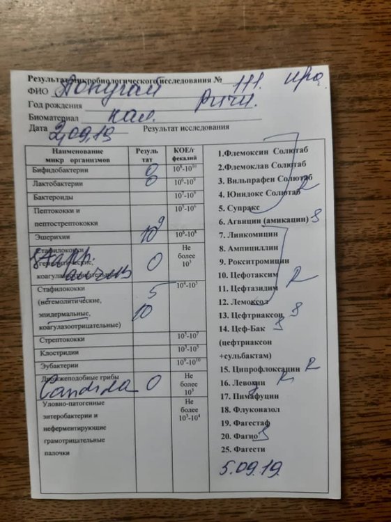 IMG-20190909-WA0073.jpg