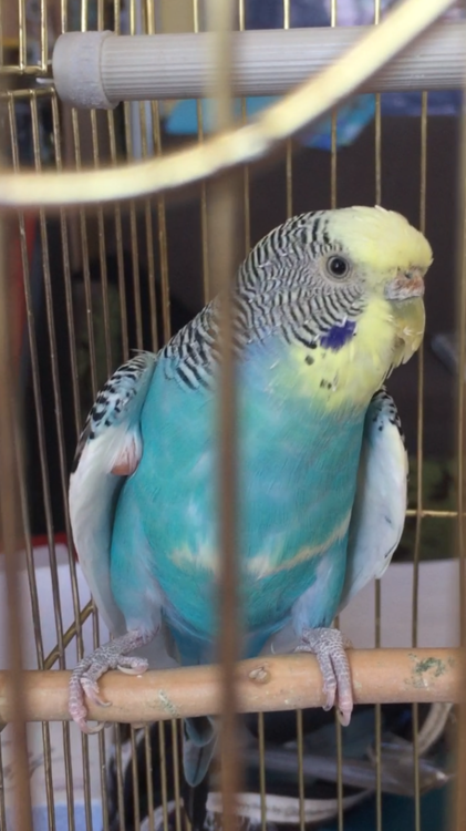 IMG_1206.PNG