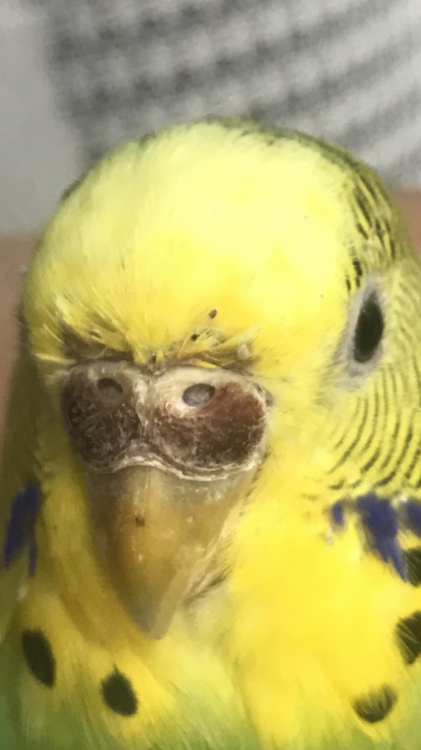 0DAAAF5B-5D09-421D-8C87-955D9F236A46.png
