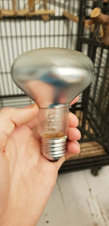 20191017_192741.jpg