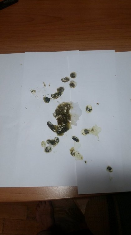 20191019_070438.jpg
