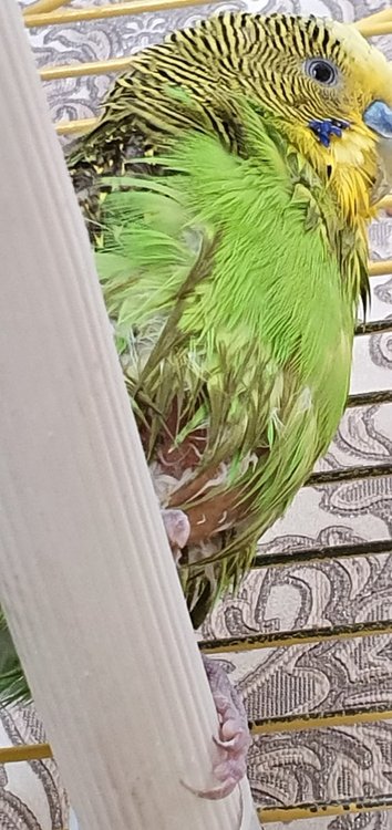 20191031_145315.jpg