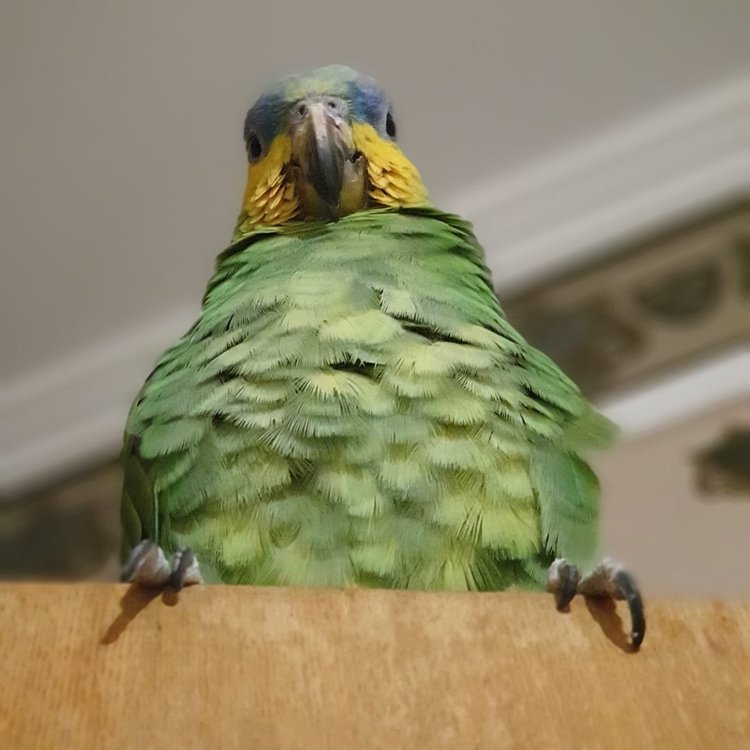 73F0D7D0-D5CC-417F-B534-A799302B7395.jpeg
