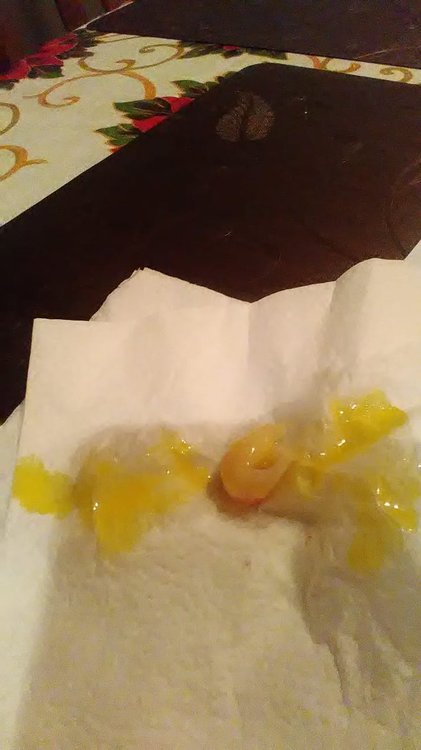 IMG-20191012-WA0015.thumb.jpg.264d66d84f72a2ee018fc9bda3f99a4c.jpg