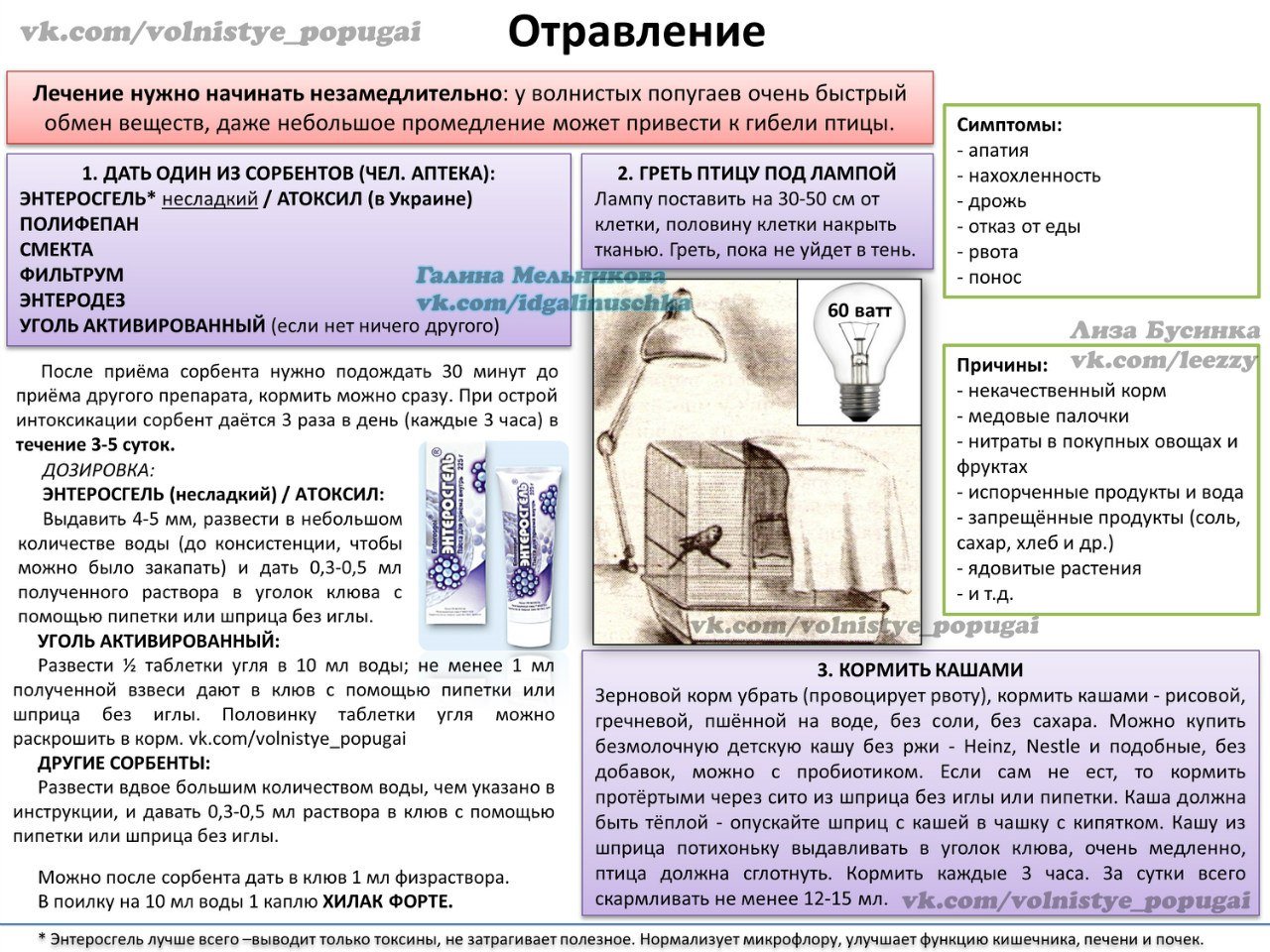 Сколько раз надо капать