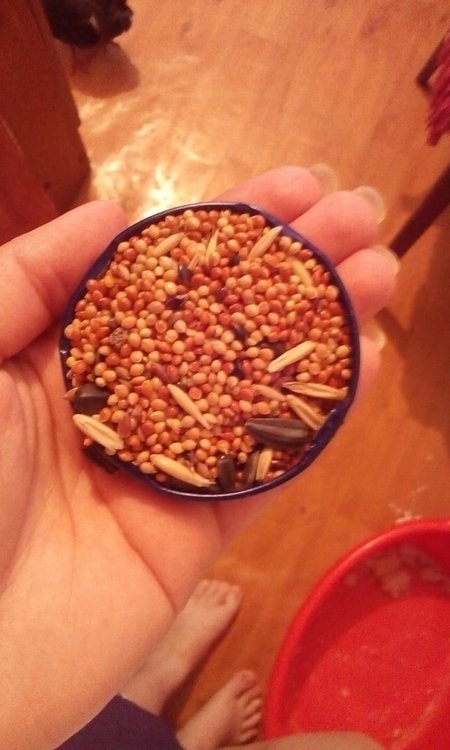 IMG-20191221-WA0001.jpg