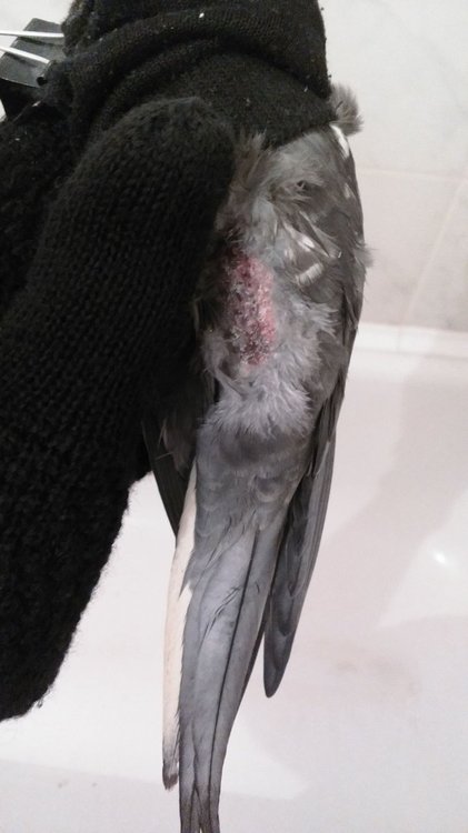 IMG-20191231-WA0013.jpeg