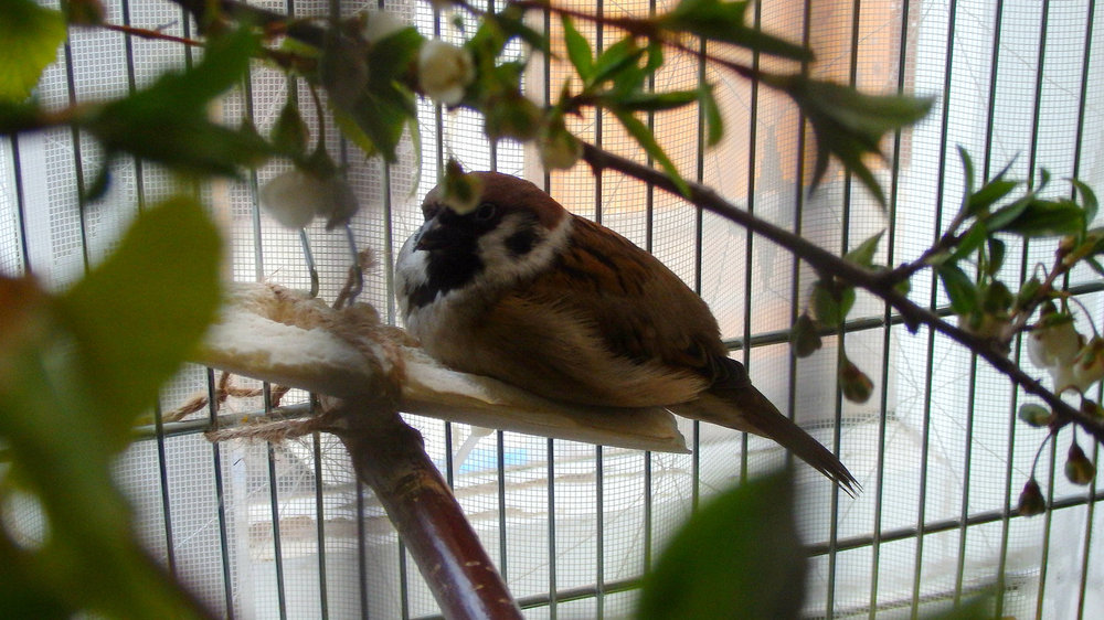 P4248762.jpg