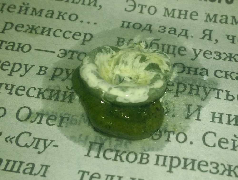 утро.jpg