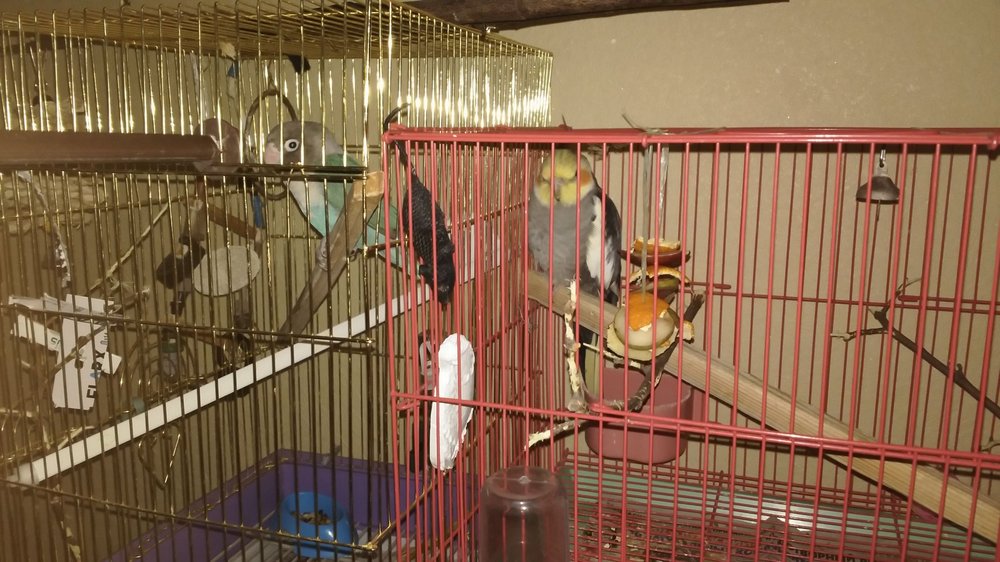IMG-20200106-WA0010.jpeg