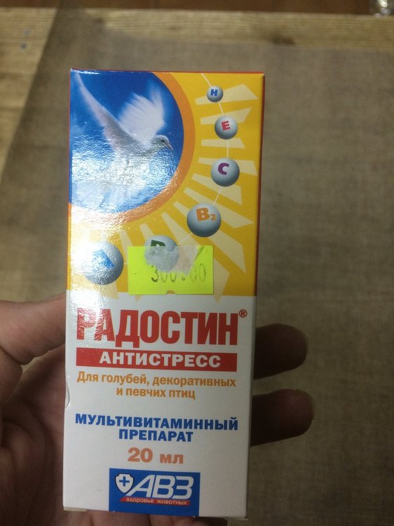 image.jpg