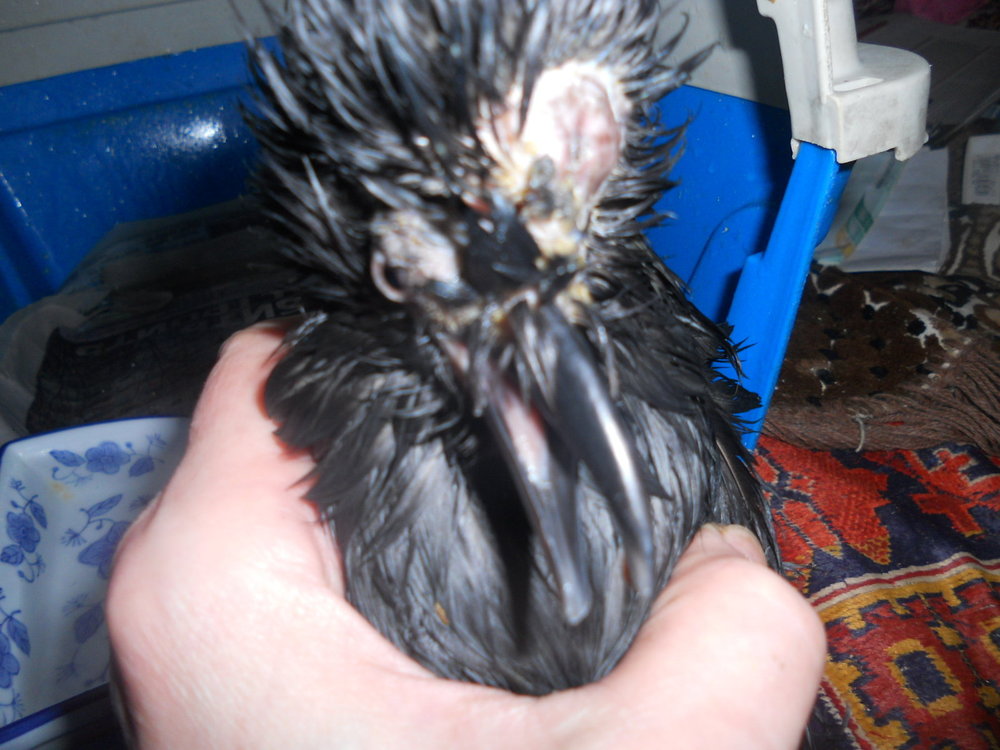 DSCN8297.JPG